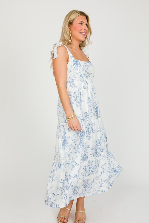 blue toile midi dress Bleu Toile Dress main image 1