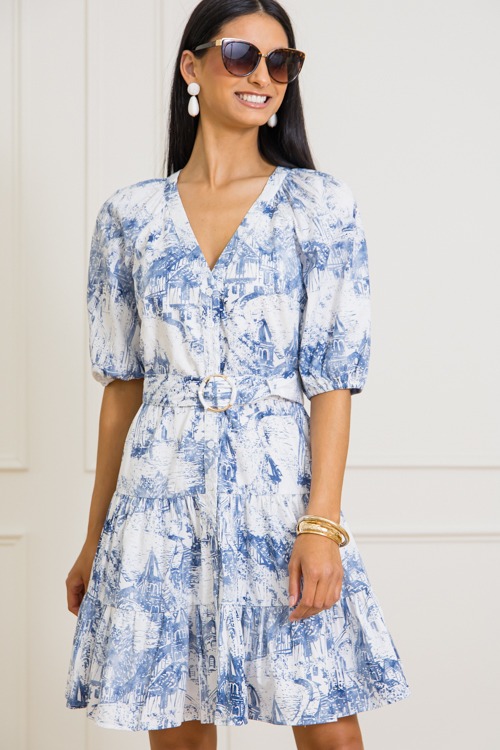 Toile Buckle Belt Dress - 0313-396h.jpg