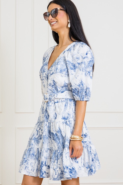 Toile Buckle Belt Dress - 0313-399.jpg