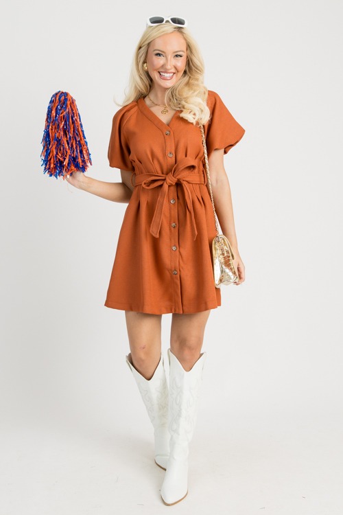Belted Bronze Dress - 0729-14p.jpg