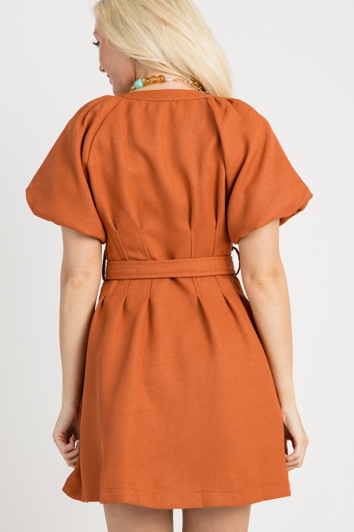Belted Bronze Dress - 0729-20.jpg
