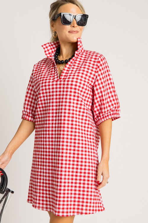 Charlotte Dress, Red Gingham - 0731-214h.jpg