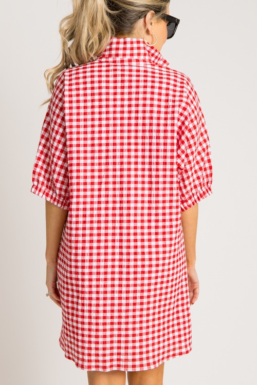 Charlotte Dress, Red Gingham - 0731-217.jpg