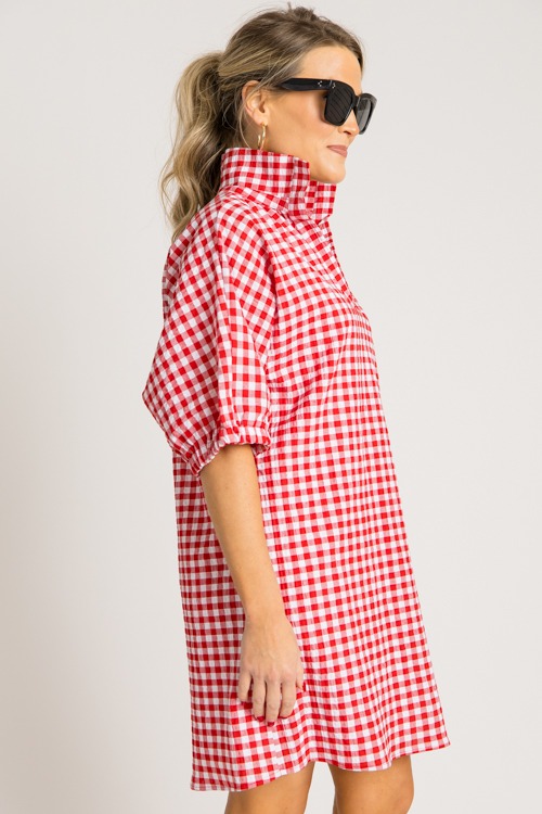 Charlotte Dress, Red Gingham - 0731-218.jpg