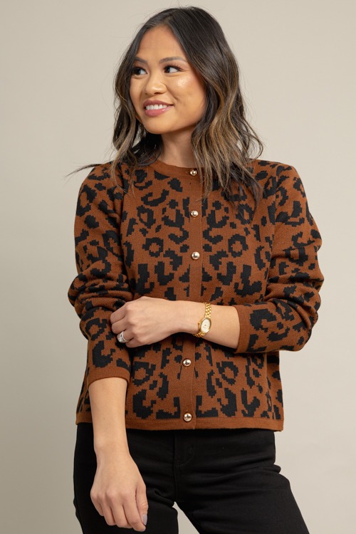 Cheetah Button Sweater, Brown - 1009-134.jpg