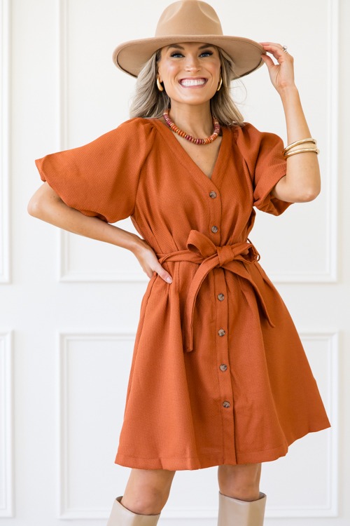 Belted Bronze Dress - 1125-22p.jpg