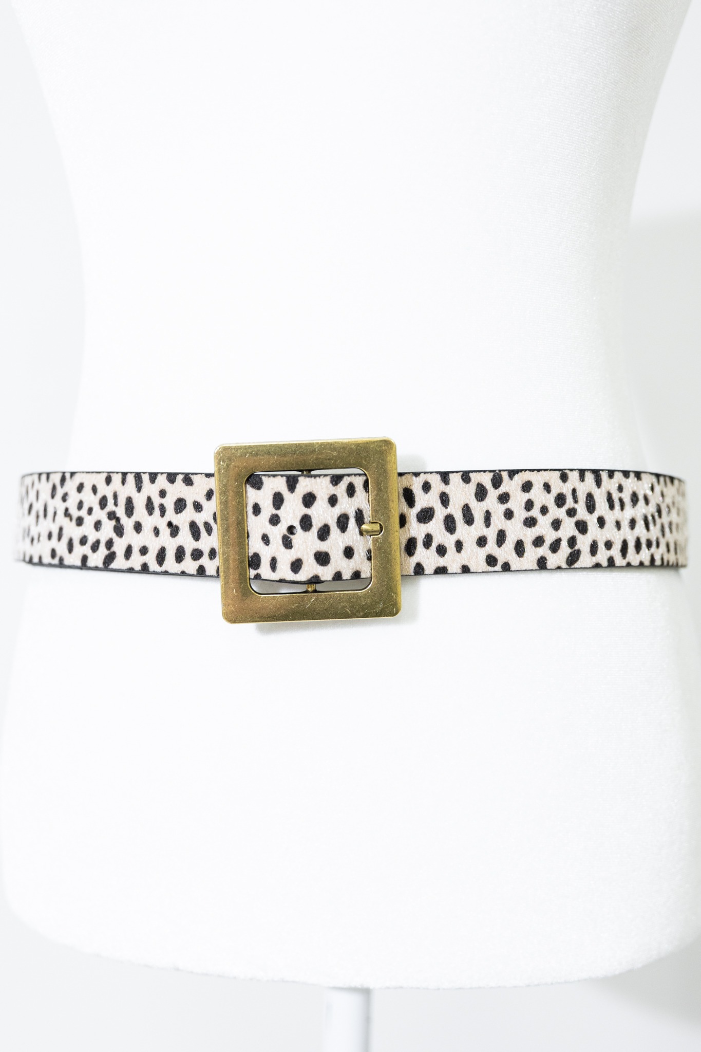 Classic Buckle Belt, Cheetah - 4K7A7418.jpg
