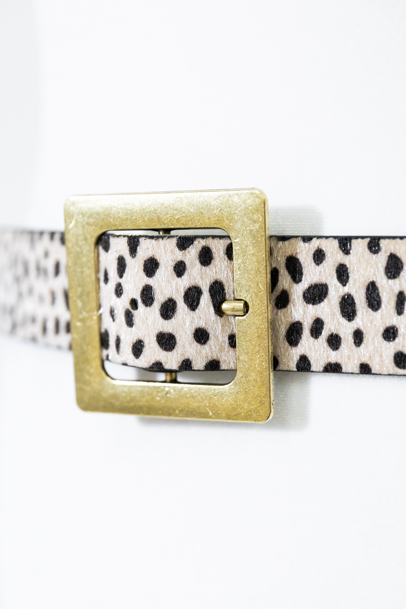 Classic Buckle Belt, Cheetah - 4K7A7420.jpg