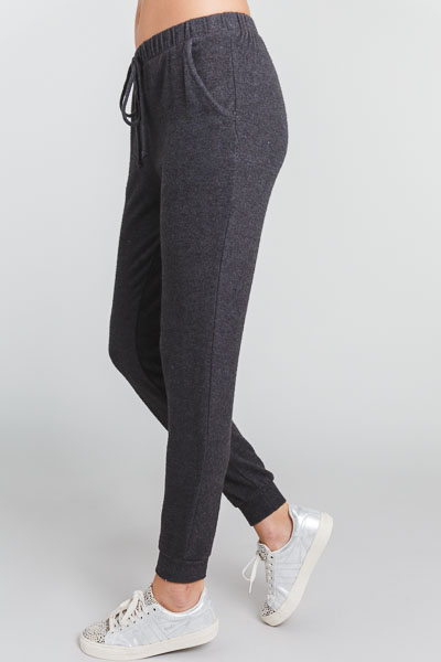 Brushed Knit Joggers, Grey